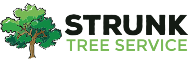 Tree Trimming & Removal Logo